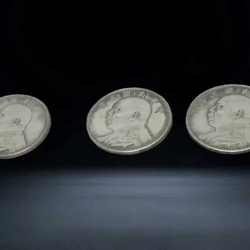 【赵美华】袁大头银元